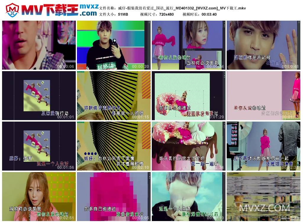 威仔-假装我没有爱过_国语_流行_MD401332